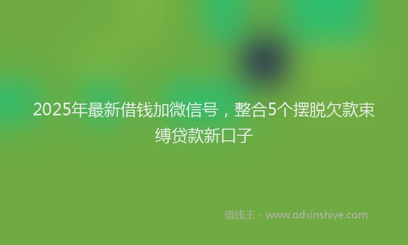 2025年最新借钱加微信号，整合5个摆脱欠款束缚贷款新口子