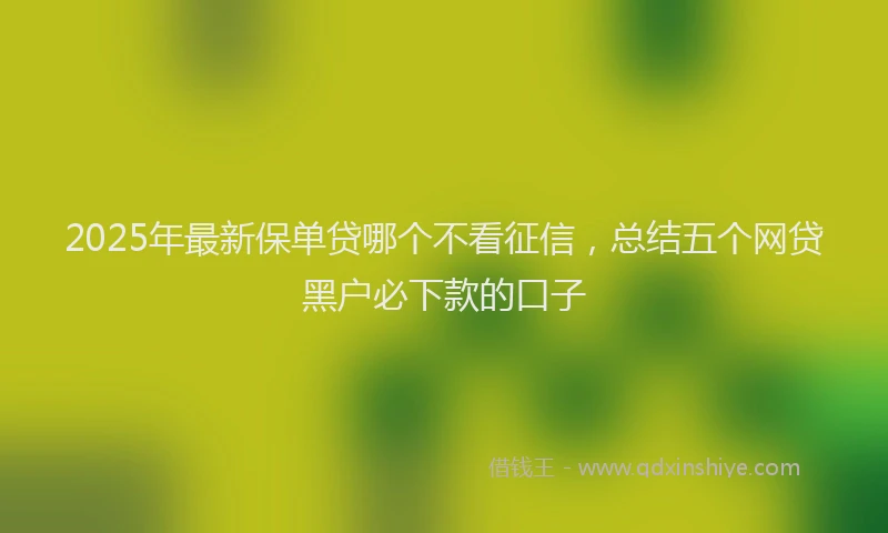 2025年最新保单贷哪个不看征信，总结五个网贷黑户必下款的口子