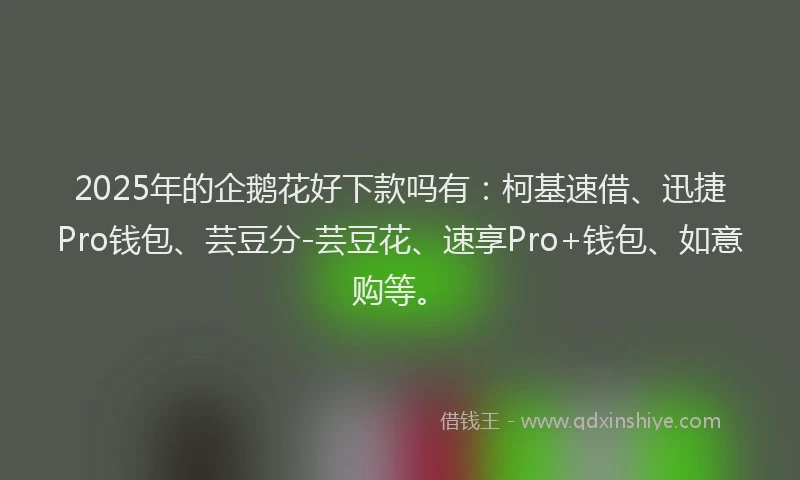 2025年的企鹅花好下款吗有：柯基速借、迅捷Pro钱包、芸豆分-芸豆花、速享Pro+钱包、如意购等。