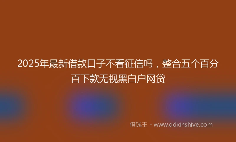 2025年最新借款口子不看征信吗，整合五个百分百下款无视黑白户网贷