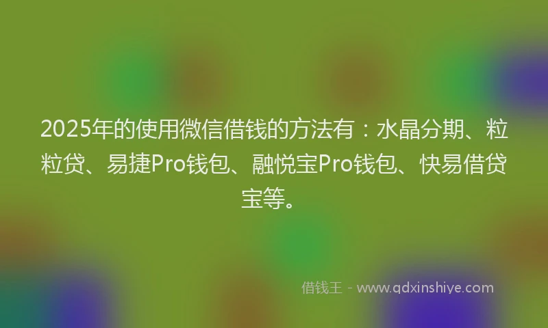 2025年的使用微信借钱的方法有：水晶分期、粒粒贷、易捷Pro钱包、融悦宝Pro钱包、快易借贷宝等。