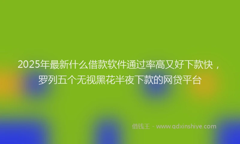 2025年最新什么借款软件通过率高又好下款快，罗列五个无视黑花半夜下款的网贷平台