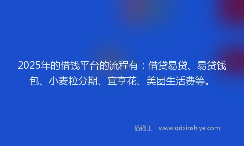 2025年的借钱平台的流程有：借贷易贷、易贷钱包、小麦粒分期、宜享花、美团生活费等。