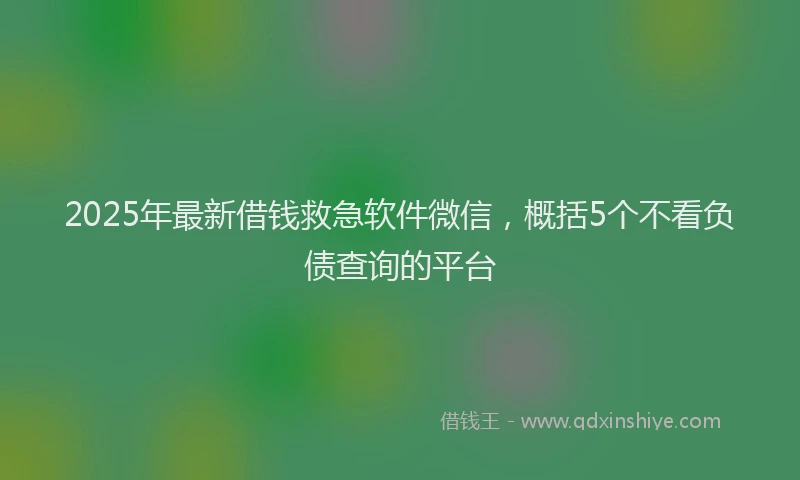 2025年最新借钱救急软件微信，概括5个不看负债查询的平台