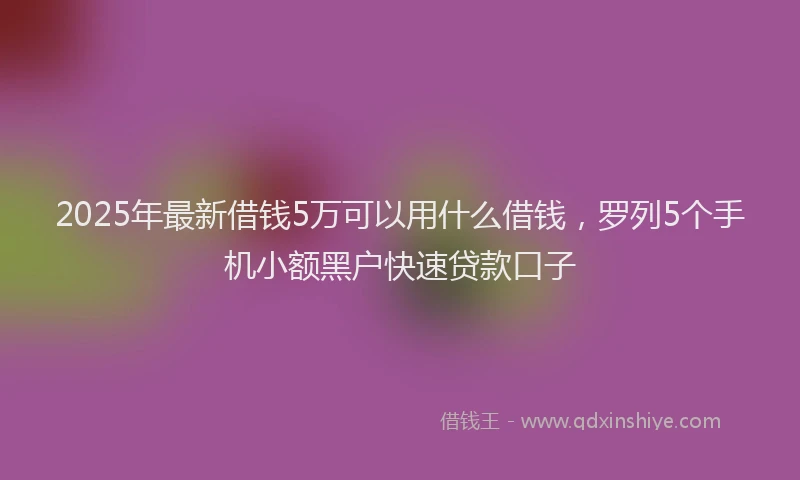 2025年最新借钱5万可以用什么借钱，罗列5个手机小额黑户快速贷款口子