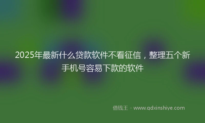 2025年最新什么贷款软件不看征信，整理五个新手机号容易下款的软件