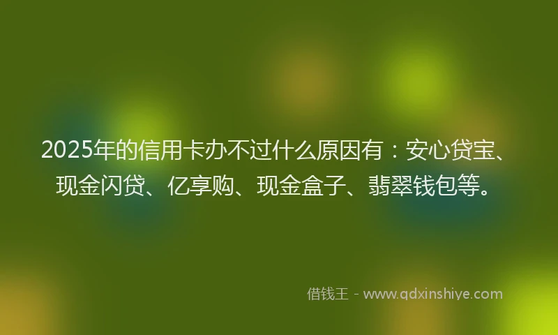 2025年的信用卡办不过什么原因有：安心贷宝、现金闪贷、亿享购、现金盒子、翡翠钱包等。
