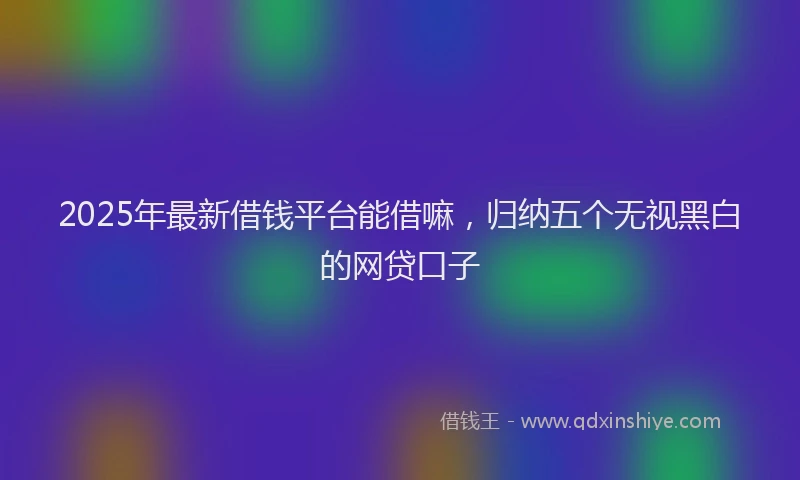 2025年最新借钱平台能借嘛，归纳五个无视黑白的网贷口子