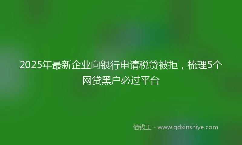 2025年最新企业向银行申请税贷被拒，梳理5个网贷黑户必过平台