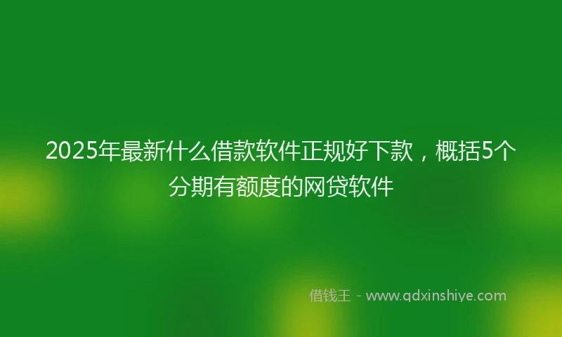 2025年最新什么借款软件正规好下款，概括5个分期有额度的网贷软件