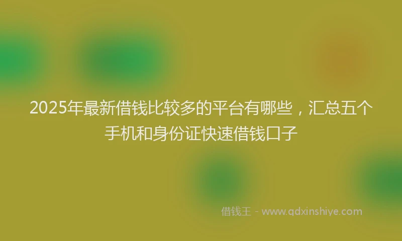 2025年最新借钱比较多的平台有哪些，汇总五个手机和身份证快速借钱口子