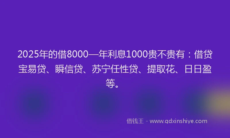 2025年的借8000—年利息1000贵不贵有：借贷宝易贷、瞬信贷、苏宁任性贷、提取花、日日盈等。