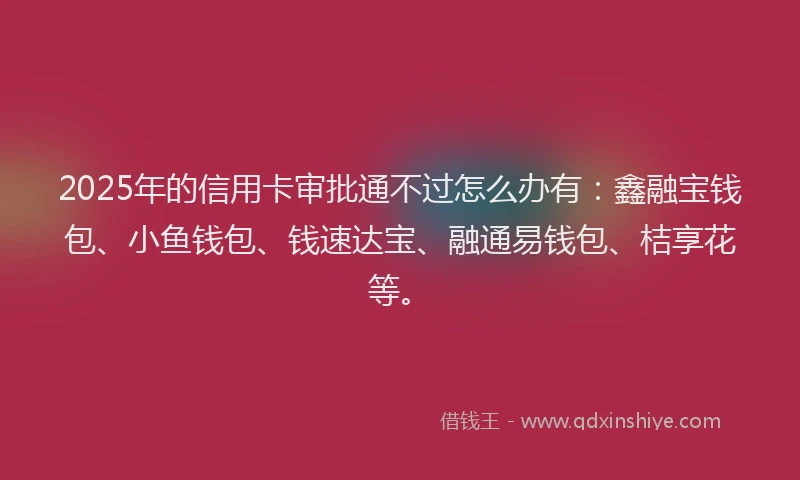 2025年的信用卡审批通不过怎么办有：鑫融宝钱包、小鱼钱包、钱速达宝、融通易钱包、桔享花等。