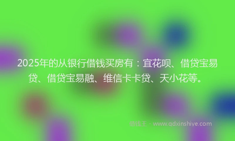 2025年的从银行借钱买房有：宜花呗、借贷宝易贷、借贷宝易融、维信卡卡贷、天小花等。