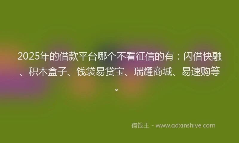 2025年的借款平台哪个不看征信的有：闪借快融、积木盒子、钱袋易贷宝、瑞耀商城、易速购等。