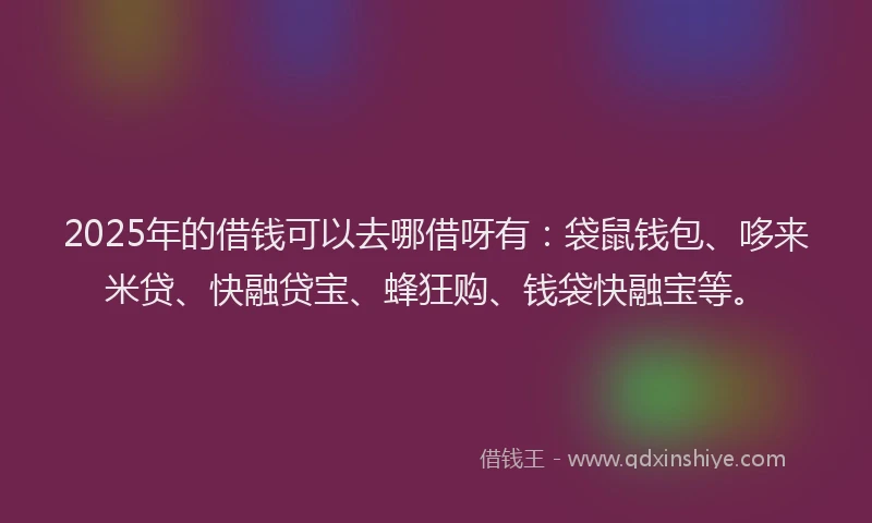 2025年的借钱可以去哪借呀有：袋鼠钱包、哆来米贷、快融贷宝、蜂狂购、钱袋快融宝等。