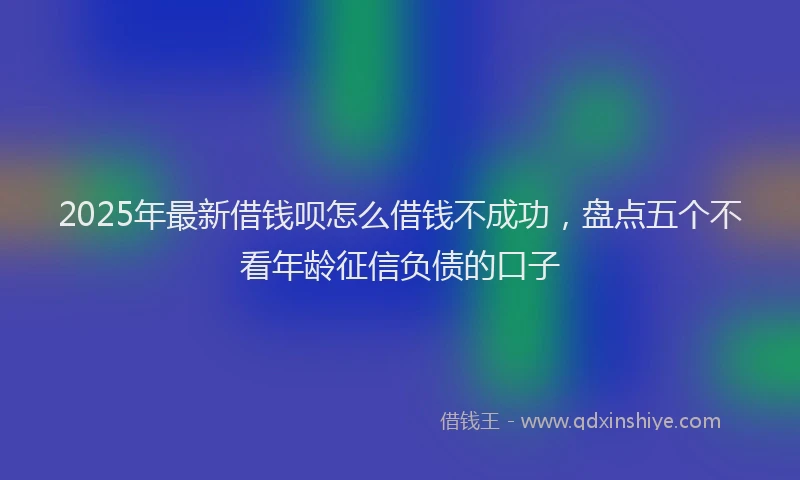 2025年最新借钱呗怎么借钱不成功，盘点五个不看年龄征信负债的口子