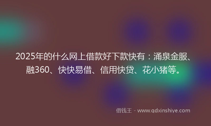 2025年的什么网上借款好下款快有：涌泉金服、融360、快快易借、信用快贷、花小猪等。