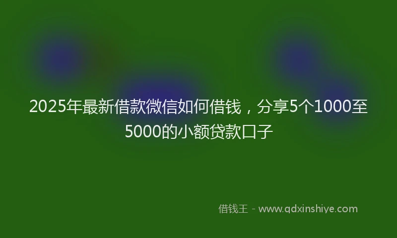 2025年最新借款微信如何借钱，分享5个1000至5000的小额贷款口子