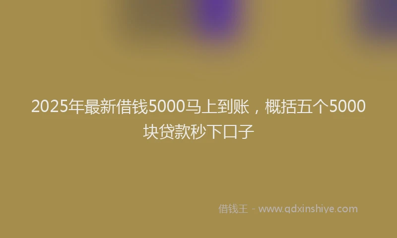 2025年最新借钱5000马上到账，概括五个5000块贷款秒下口子