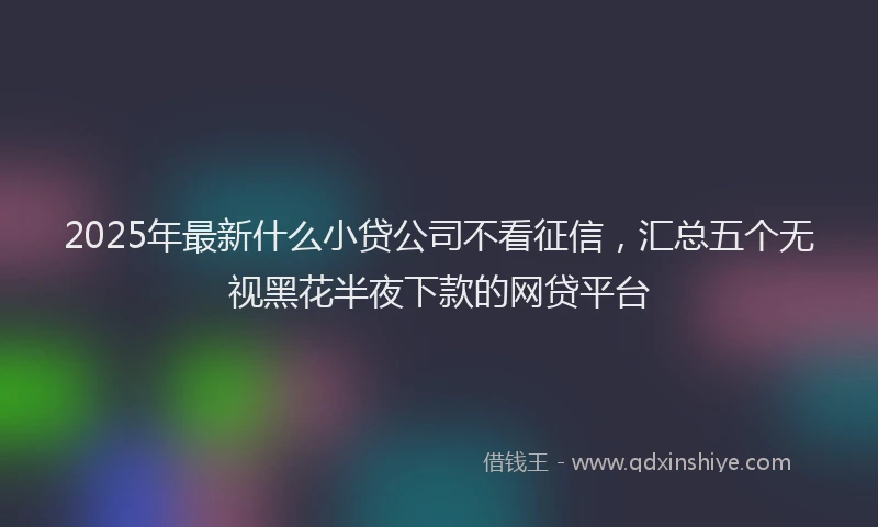2025年最新什么小贷公司不看征信，汇总五个无视黑花半夜下款的网贷平台