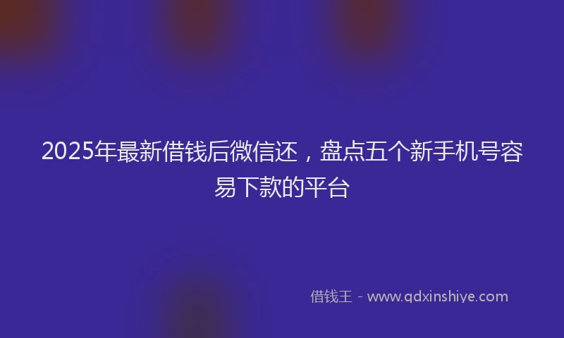2025年最新借钱后微信还，盘点五个新手机号容易下款的平台