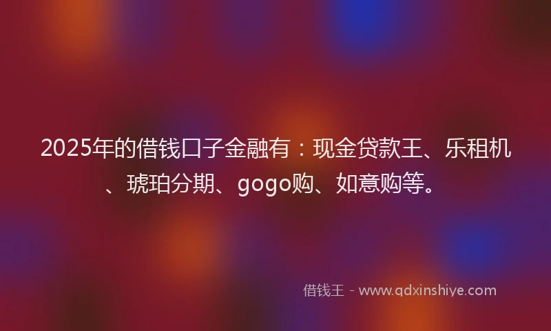 2025年的借钱口子金融有：现金贷款王、乐租机、琥珀分期、gogo购、如意购等。