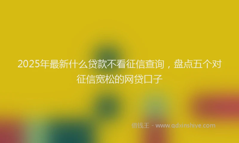 2025年最新什么贷款不看征信查询，盘点五个对征信宽松的网贷口子