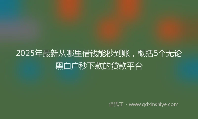 2025年最新从哪里借钱能秒到账，概括5个无论黑白户秒下款的贷款平台