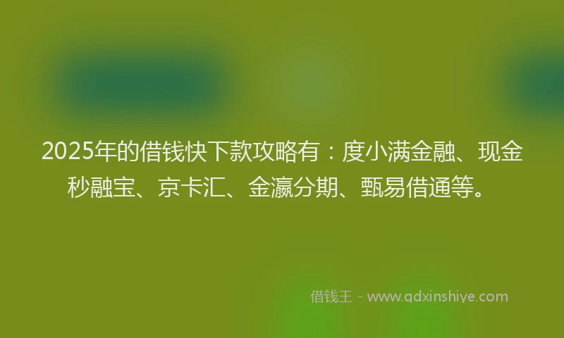 2025年的借钱快下款攻略有：度小满金融、现金秒融宝、京卡汇、金瀛分期、甄易借通等。