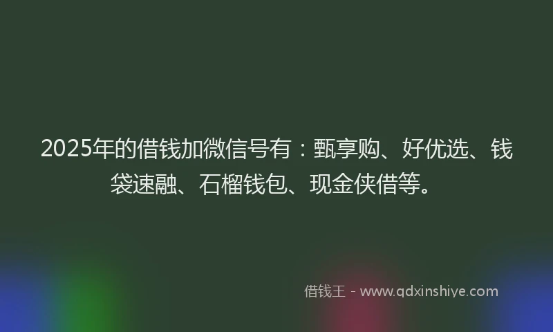 2025年的借钱加微信号有：甄享购、好优选、钱袋速融、石榴钱包、现金侠借等。