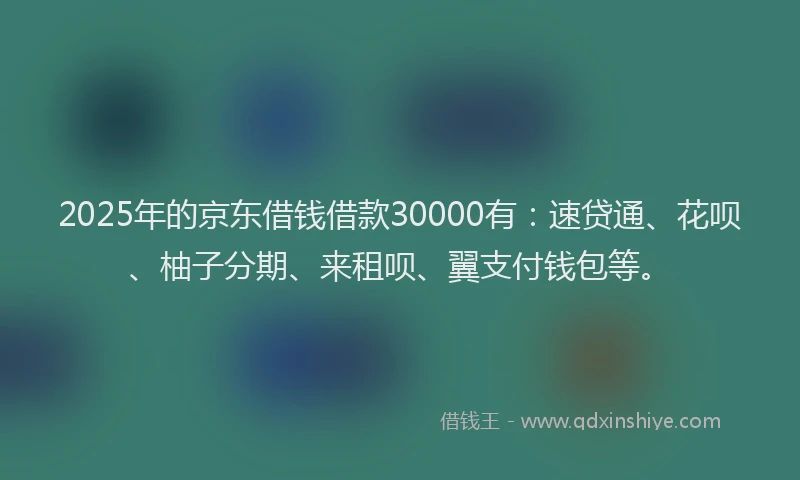 2025年的京东借钱借款30000有：速贷通、花呗、柚子分期、来租呗、翼支付钱包等。