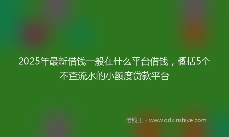 2025年最新借钱一般在什么平台借钱，概括5个不查流水的小额度贷款平台