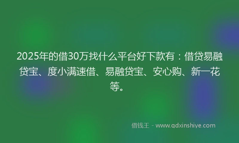 2025年的借30万找什么平台好下款有：借贷易融贷宝、度小满速借、易融贷宝、安心购、新一花等。