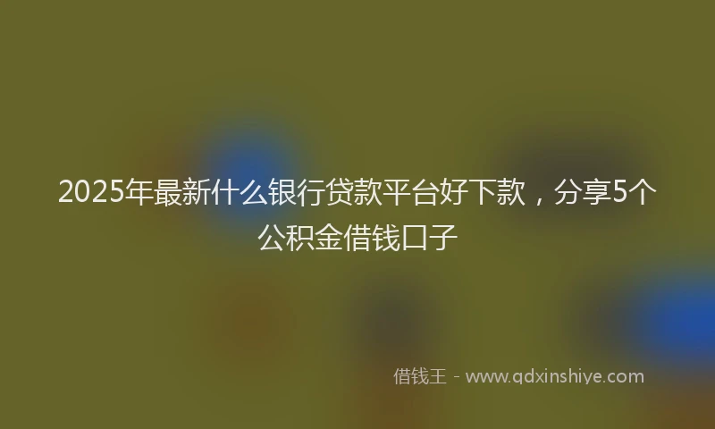 2025年最新什么银行贷款平台好下款，分享5个公积金借钱口子