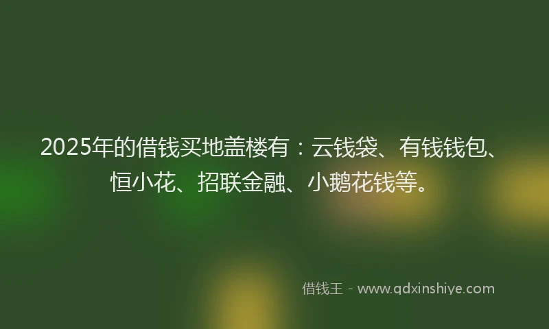 2025年的借钱买地盖楼有：云钱袋、有钱钱包、恒小花、招联金融、小鹅花钱等。