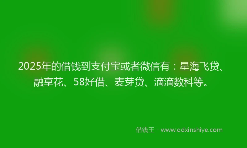 2025年的借钱到支付宝或者微信有：星海飞贷、融享花、58好借、麦芽贷、滴滴数科等。