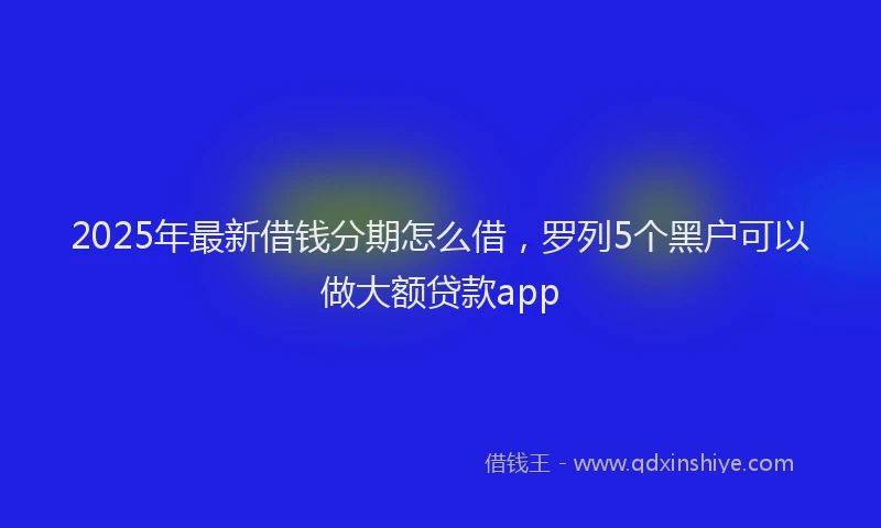 2025年最新借钱分期怎么借，罗列5个黑户可以做大额贷款app