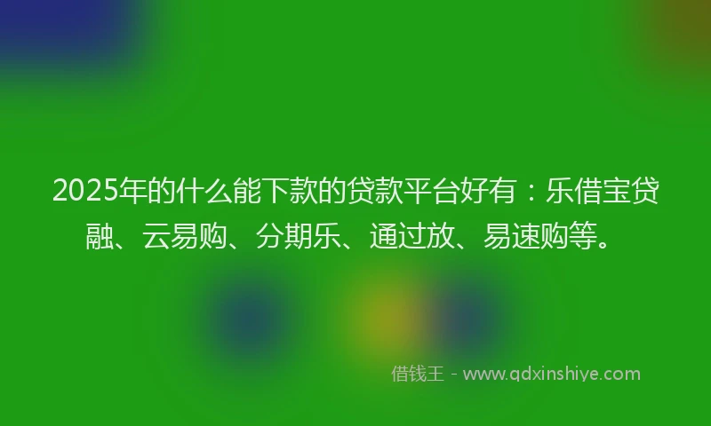 2025年的什么能下款的贷款平台好有：乐借宝贷融、云易购、分期乐、通过放、易速购等。