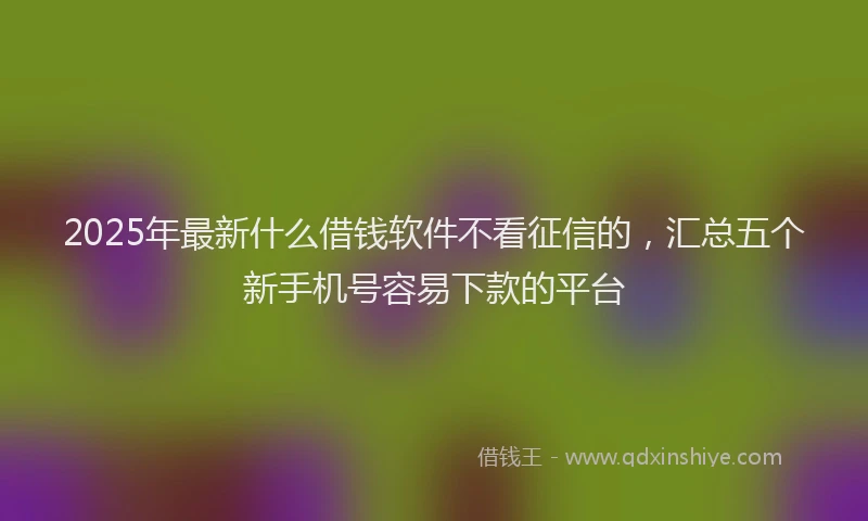 2025年最新什么借钱软件不看征信的，汇总五个新手机号容易下款的平台
