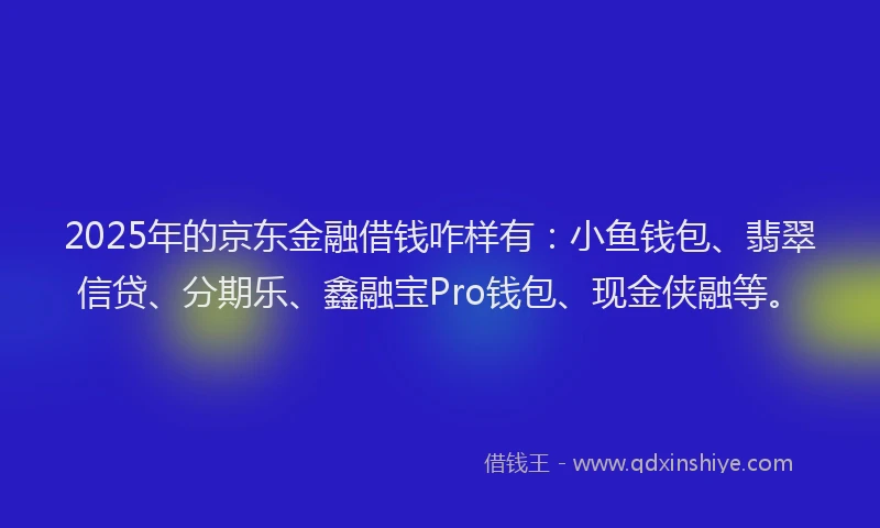 2025年的京东金融借钱咋样有：小鱼钱包、翡翠信贷、分期乐、鑫融宝Pro钱包、现金侠融等。