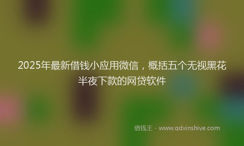 2025年最新借钱小应用微信，概括五个无视黑花半夜下款的网贷软件