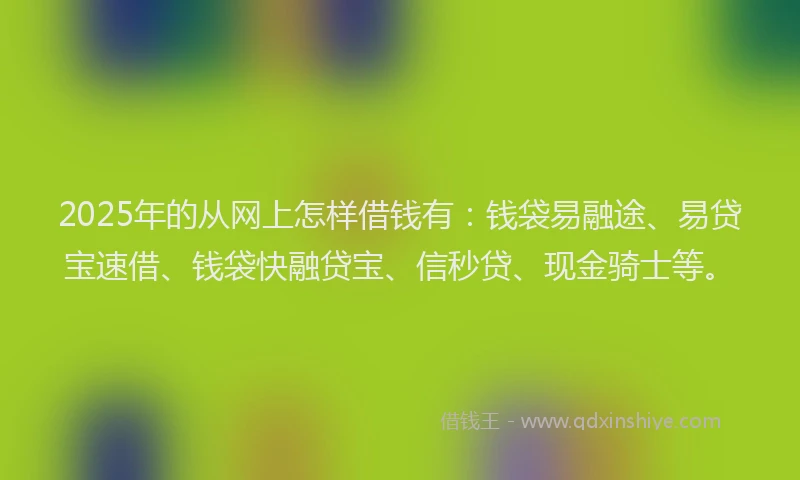 2025年的从网上怎样借钱有：钱袋易融途、易贷宝速借、钱袋快融贷宝、信秒贷、现金骑士等。