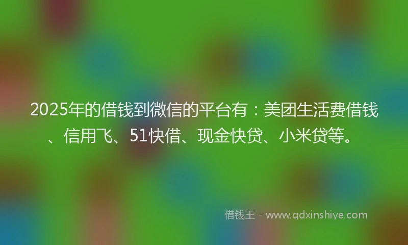 2025年的借钱到微信的平台有：美团生活费借钱、信用飞、51快借、现金快贷、小米贷等。