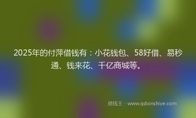 2025年的付萍借钱有：小花钱包、58好借、易秒通、钱来花、千亿商城等。