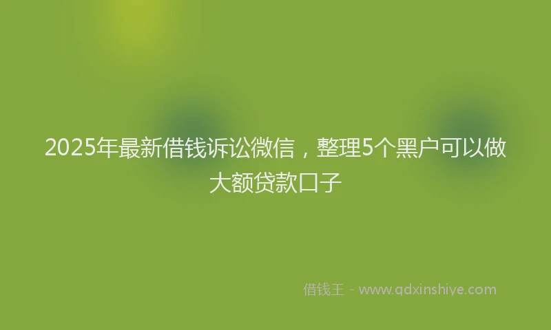 2025年最新借钱诉讼微信，整理5个黑户可以做大额贷款口子