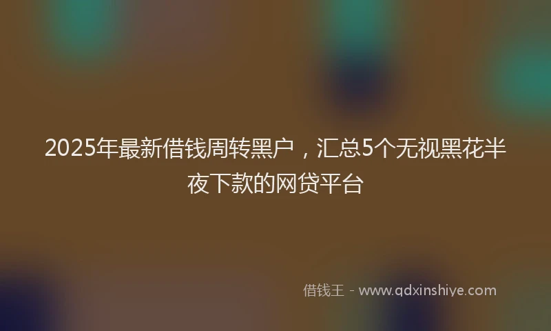 2025年最新借钱周转黑户，汇总5个无视黑花半夜下款的网贷平台