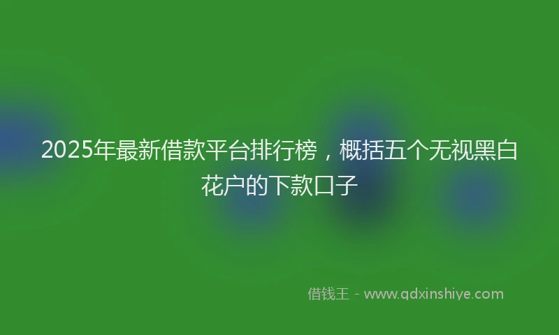 2025年最新借款平台排行榜，概括五个无视黑白花户的下款口子