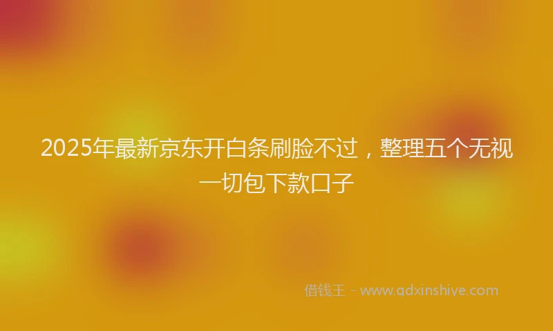 2025年最新京东开白条刷脸不过，整理五个无视一切包下款口子