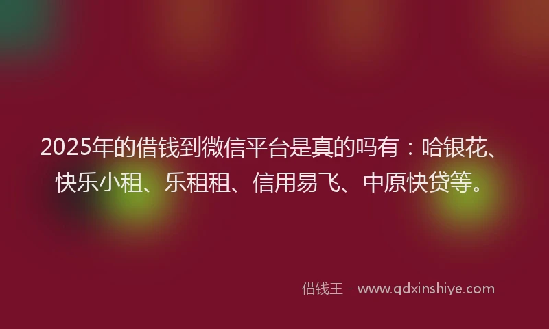 2025年的借钱到微信平台是真的吗有：哈银花、快乐小租、乐租租、信用易飞、中原快贷等。